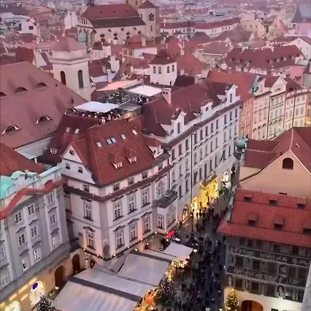 A In An In The Heart Of And A Cat * Prag