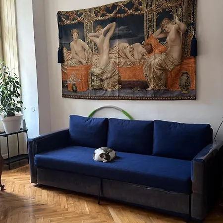A In An In The Heart Of And A Cat Privat bolig